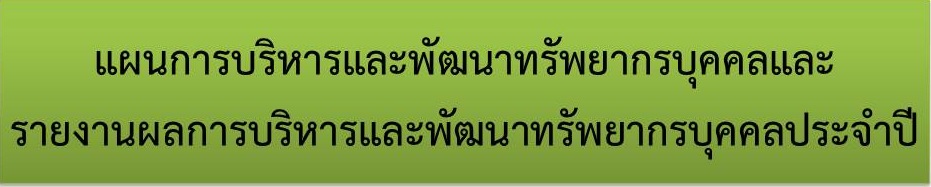 แผนการบริหารและพัฒนาทรัพยากรบุคคลและ.jpg