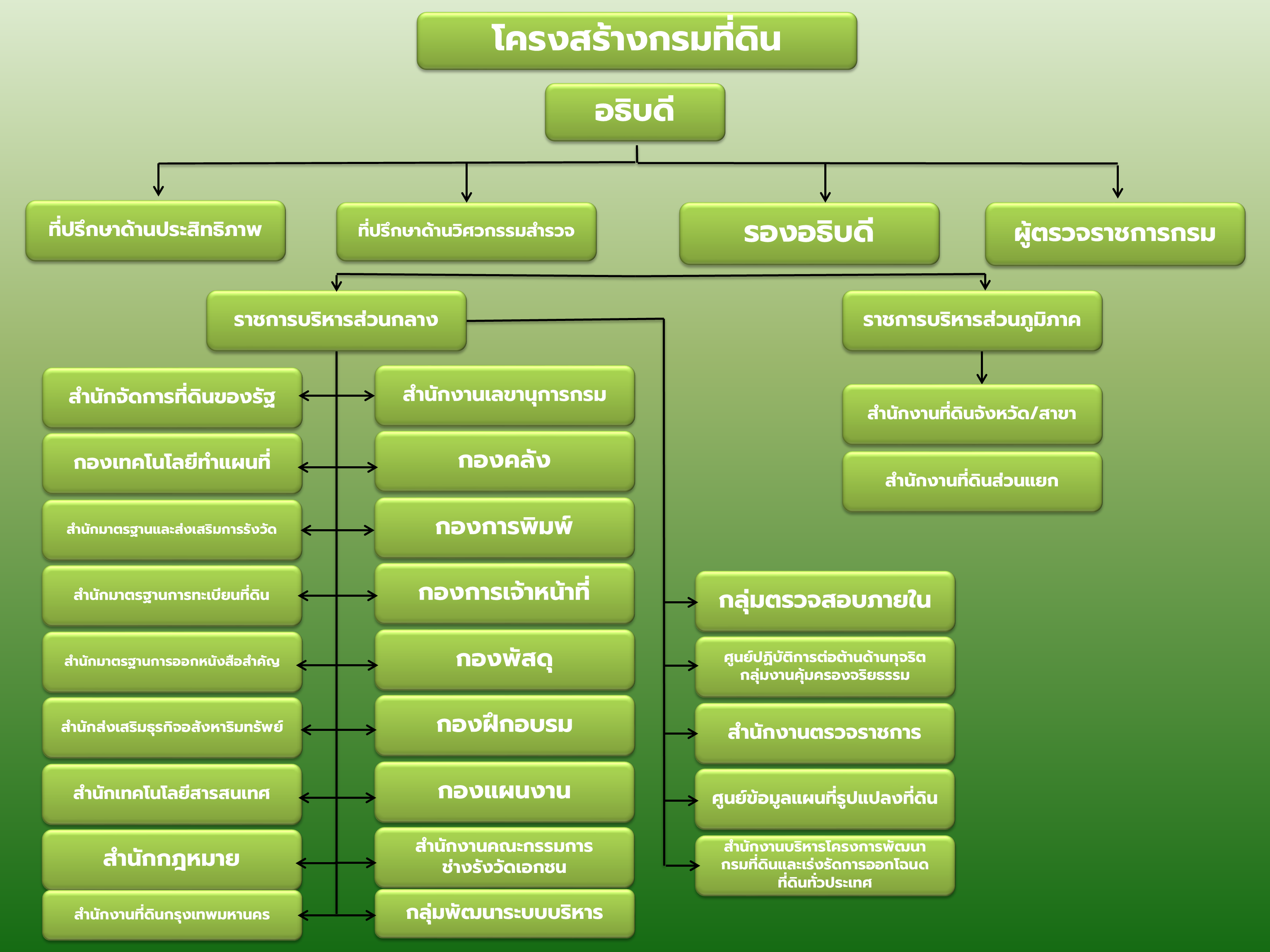 โครงสร้างส่วนกลาง.jpg