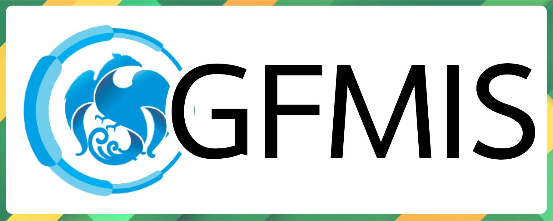 GFMIS.jpg